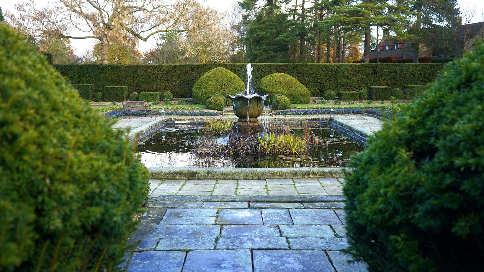 A fountain in a garden