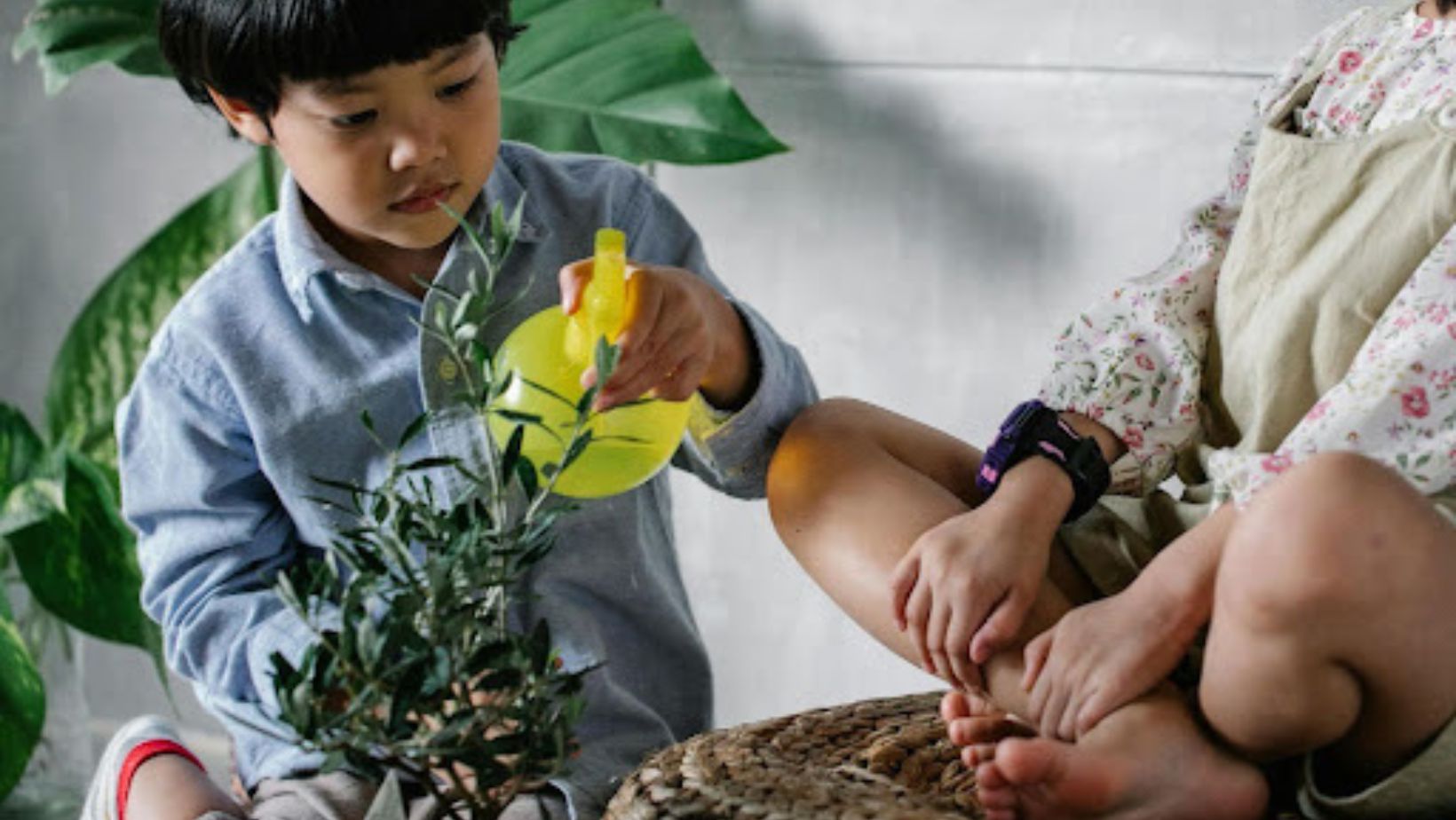 boy spritzes water on plant